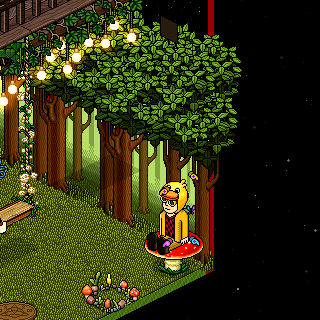 Photo by HabboFernando0