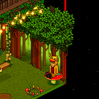 Photo by HabboFernando0