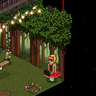 Photo by HabboFernando0
