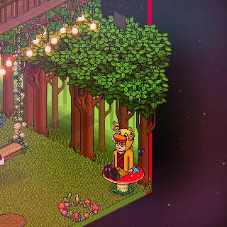 Photo by HabboFernando0