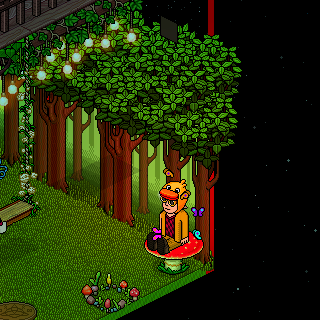 Photo by HabboFernando0