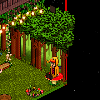 Photo by HabboFernando0