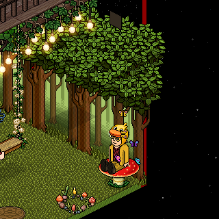 Photo by HabboFernando0