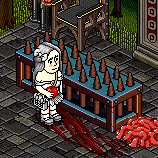 Photo by Amors