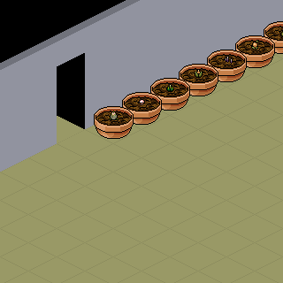 Photo by luannahough@