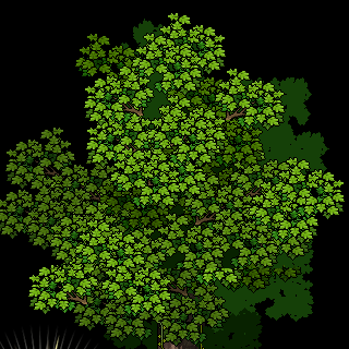 Photo by SouUmaLanger