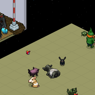 Photo by Niclaus