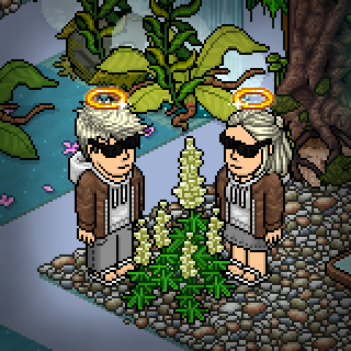 Photo by --mew--