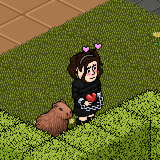 Photo by :nutelina: