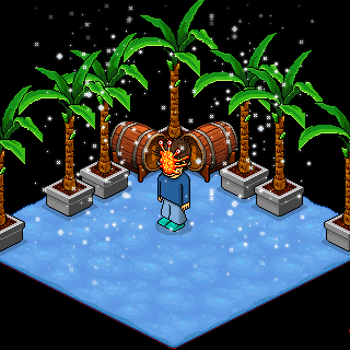 Photo by Shinny