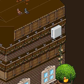 Photo by !Desapegado