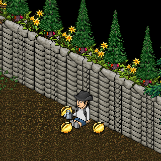 Photo by HenriqueHK.