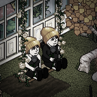 Photo by Beazinha