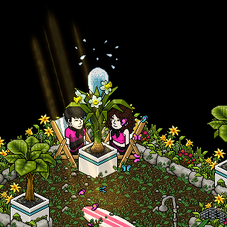 Photo by buninha4564