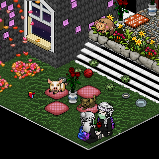 Photo by buninha4564