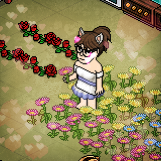Photo by JudthyBeck