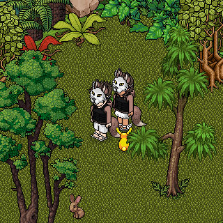 Photo by Viddlexz