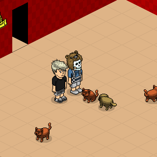 Photo by Hoolp-