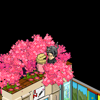 Photo by sr.teteuhabbo