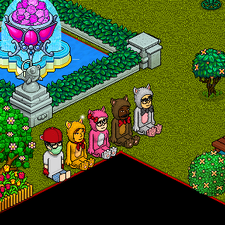 Photo by sr.teteuhabbo