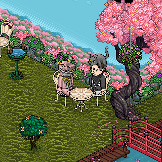 Photo by sr.teteuhabbo