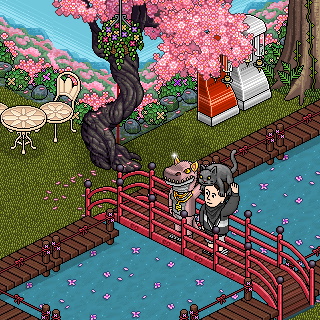 Photo by sr.teteuhabbo