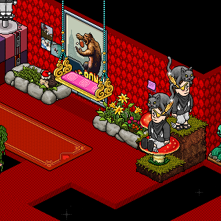 Photo by sr.teteuhabbo