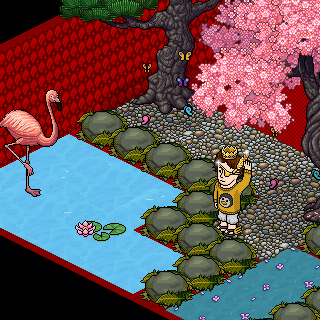 Photo by sr.teteuhabbo