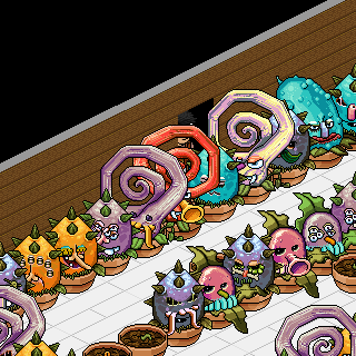 Photo by iwfw