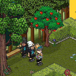 Photo by -.-Triix-.-