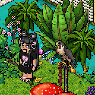 Photo by -.-Triix-.-
