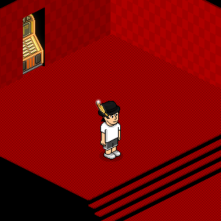 Photo by _CachorroBelga_