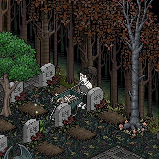 Photo by Gluck