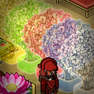 Photo by naylon87