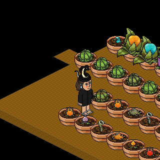 Photo by !Zuri