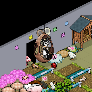 Photo by SirFlashsPT