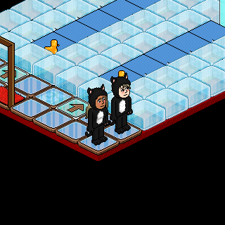 Photo by Facmitoz