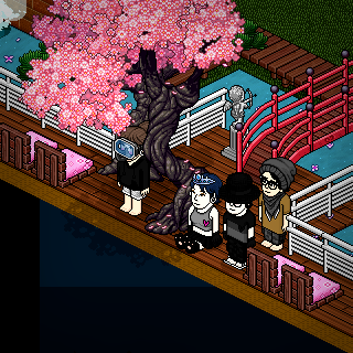 Photo by _-_Zeus_-_