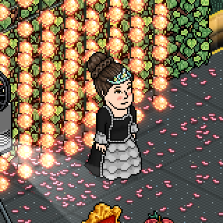 Photo by DonaJaponesa