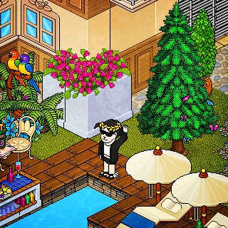 Photo by LaylaQuinzel