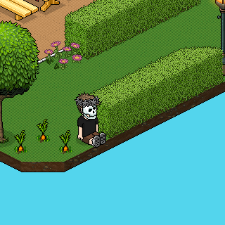 Photo by Liar