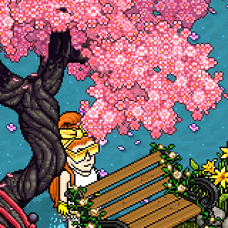 Photo by Chat!nha