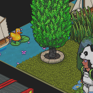 Photo by Chat!nha