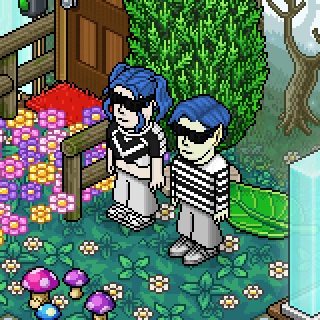 Photo by Chat!nha
