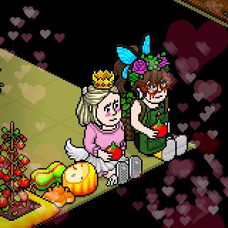 Photo by Faquista