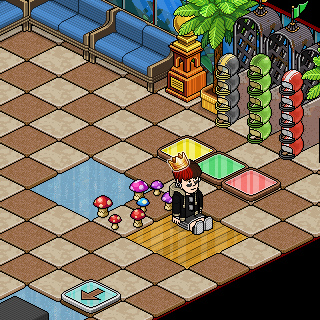 Photo by @onlis.
