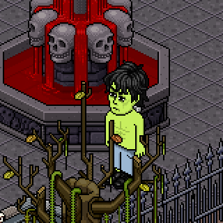 Photo by Rises