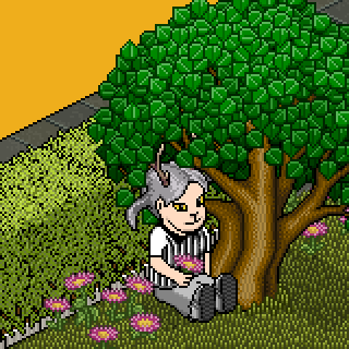 Photo by ste