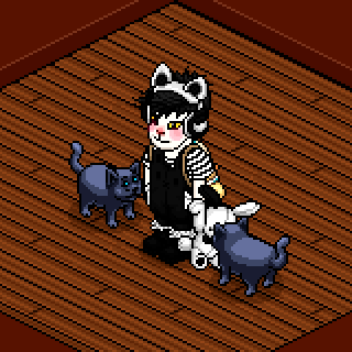 Photo by GatoComRaiva