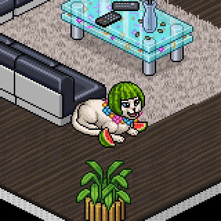Photo by 4Queijos4Beijos